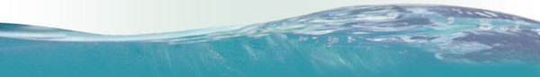 footer-graphic